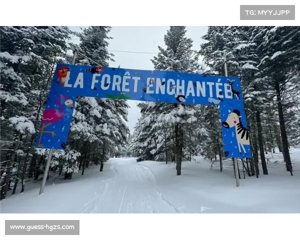 加拿大魁北克女子滑雪世界杯因雪量不足取消,气候变暖威胁赛事举办 加拿大魁北克女子滑雪世界杯因雪量不足取消,气候变暖威胁赛事举办
